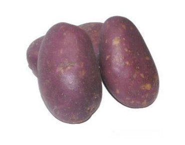 Certified Seed Potato- Royal Blue