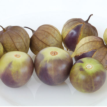 Tomatillo- Michoacan Purple