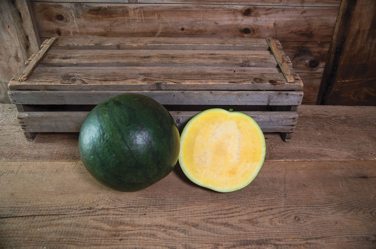 Tropical Sunshine – Watermelon Seed