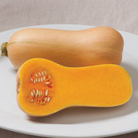 Waldo PMR – Butternut Squash Seed