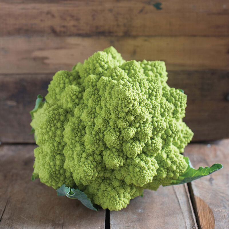 Veronica – Organic Cauliflower Seed