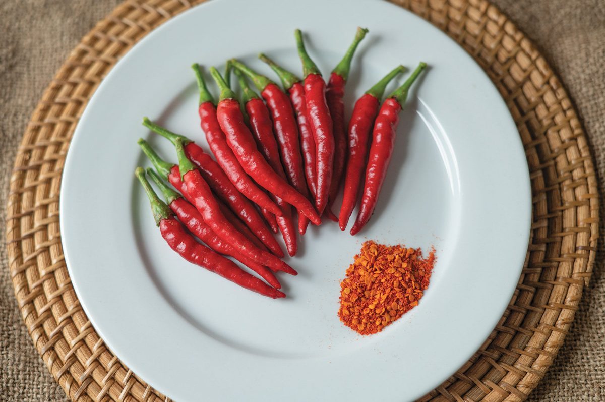 Bottle Rocket – Cayenne Pepper Seed