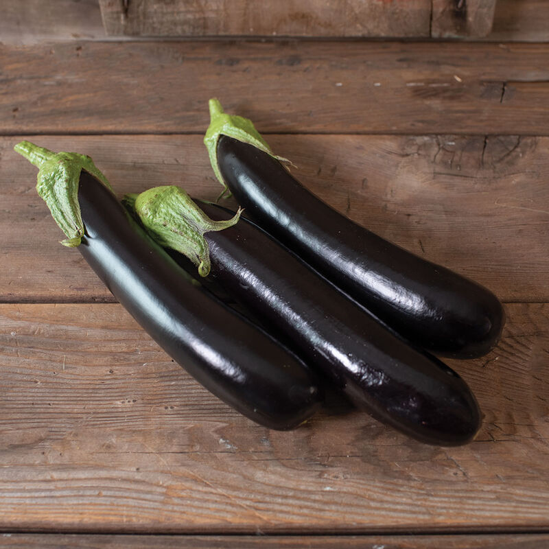 Turkish Delight – Organic Eggplant Seed