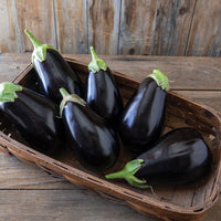 Thanos – Eggplant Seed