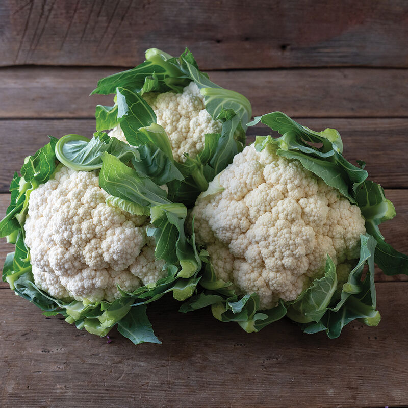 Tessaury – Organic Cauliflower Seed