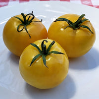 Taxi – Organic Tomato Seed