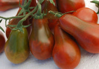 Verona – Organic Tomato Seed