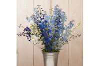 Belladonna Mix – Delphinium Seed