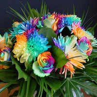 Rainbow Chrysanthemum Flower Seeds Rare Color Home Garden Seeds