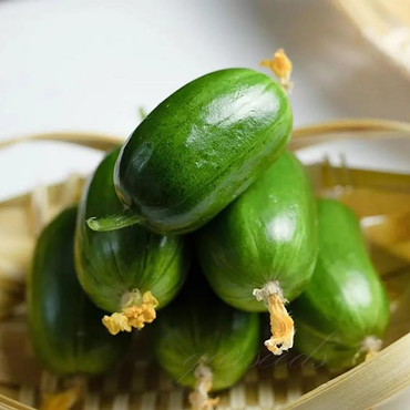 Tiny Thumb Cucumber Seeds