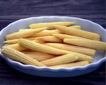 Baby Corn Hybrid Vegetable Seeds