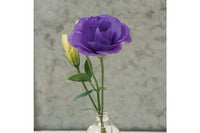 Mariachi Blue – Lisianthus Seed