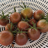 Black Cherry – Organic Tomato Seed