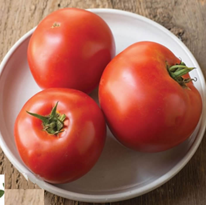 Big Beef/Shin Cheong Gang Grafted – Organic Tomato Seed