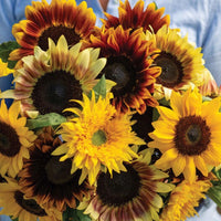 Summer Breeze Mix – Sunflower Seed