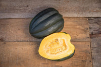 Autumn Delight – Acorn Squash Seed