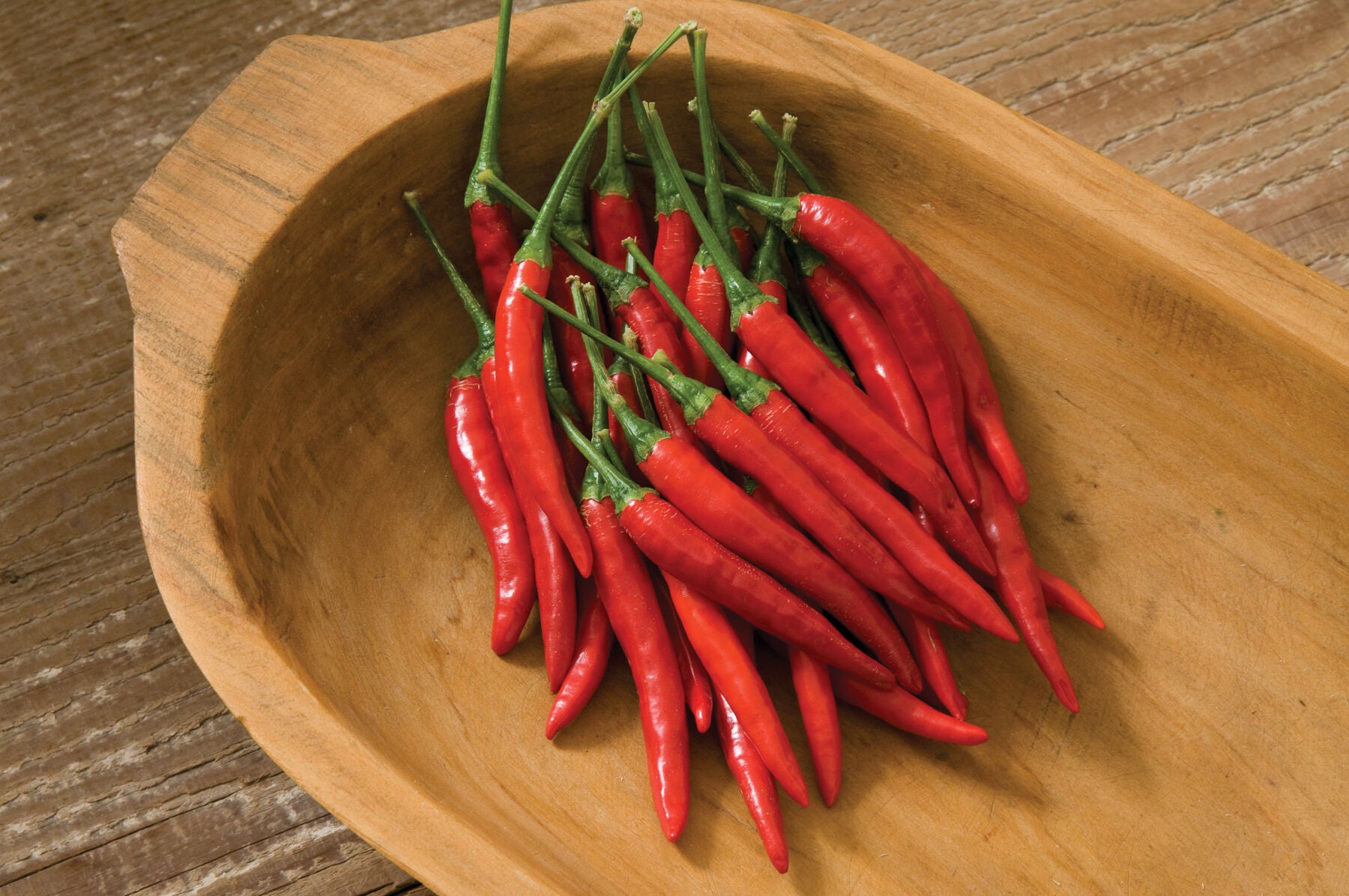 Bangkok – Thai Chile Pepper Seed