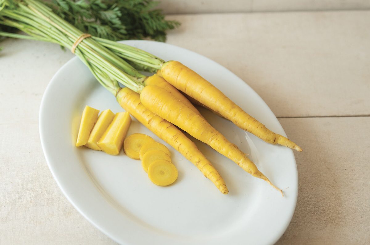 Yellow Moon – Yellow Carrot Seeds