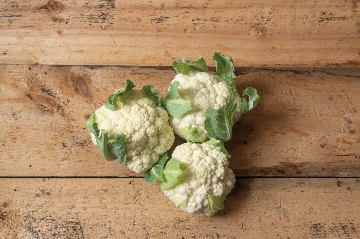 Twister – Cauliflower Seed