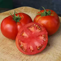 Big Beef Plus – Tomato Seed