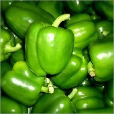 Pepper EM Bella Vegetable Seeds