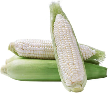 Corn, Sweet- Country Gentlemen