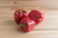 X3R Red Knight – Bell Pepper Seed