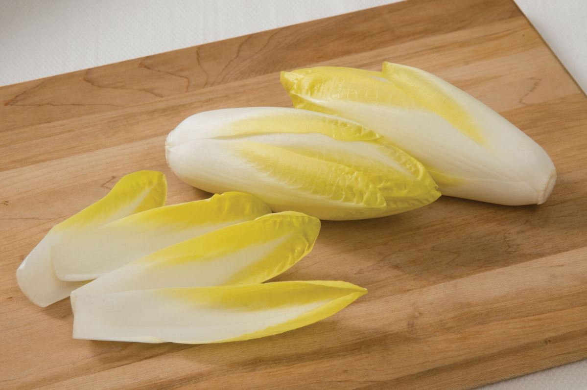 Totem – Organic Endive Seed