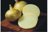 Yellow Granex – Onion Seeds