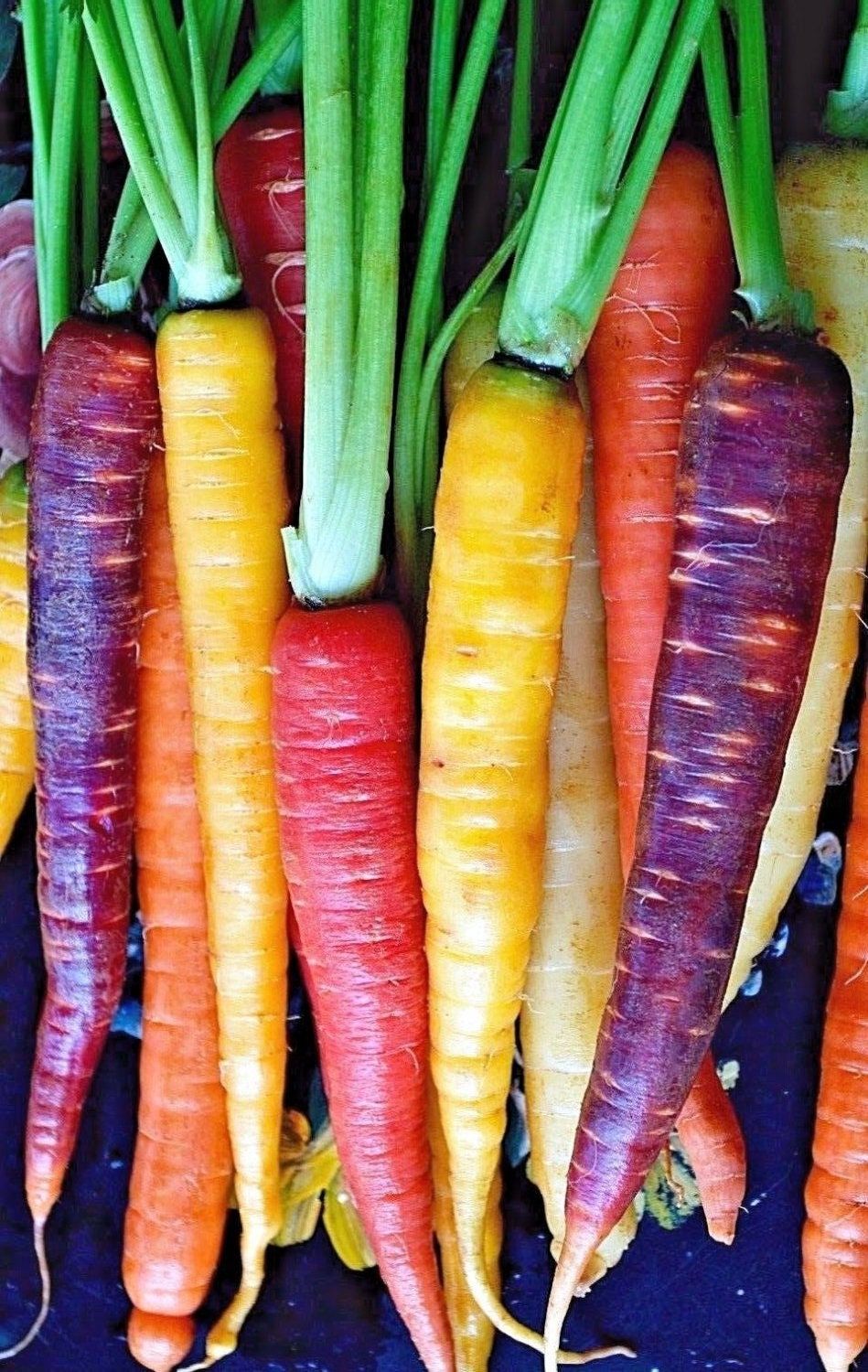 Carrot- Rainbow Mix