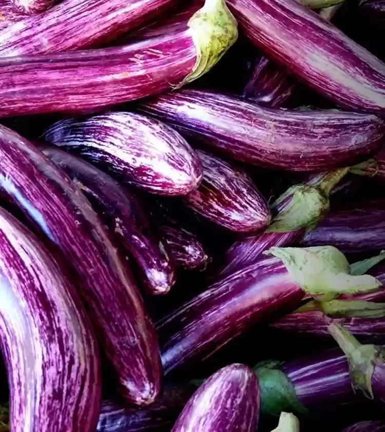 Eggplant- Amethyst