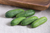 Adam Gherkin – Organic Cucumber Seed