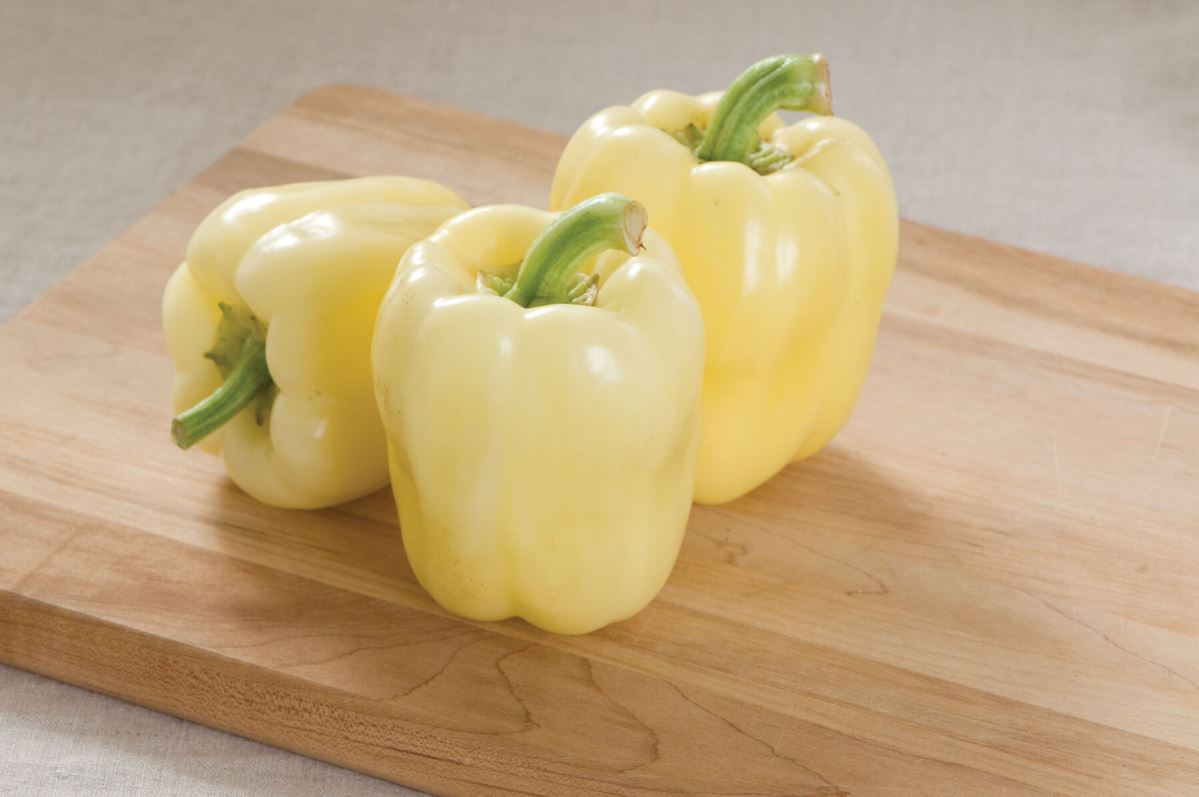 Bianca – Bell Pepper Seed