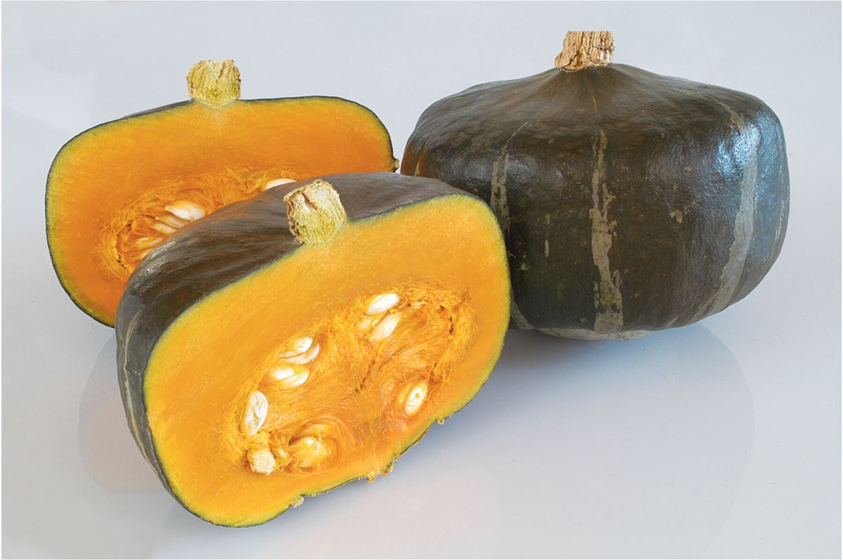 Bonbon – Buttercup Squash Seed