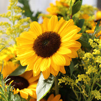 Sunrich Orange Summer – Sunflower Seed