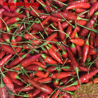 Bangkok – Thai Chile Pepper Seed