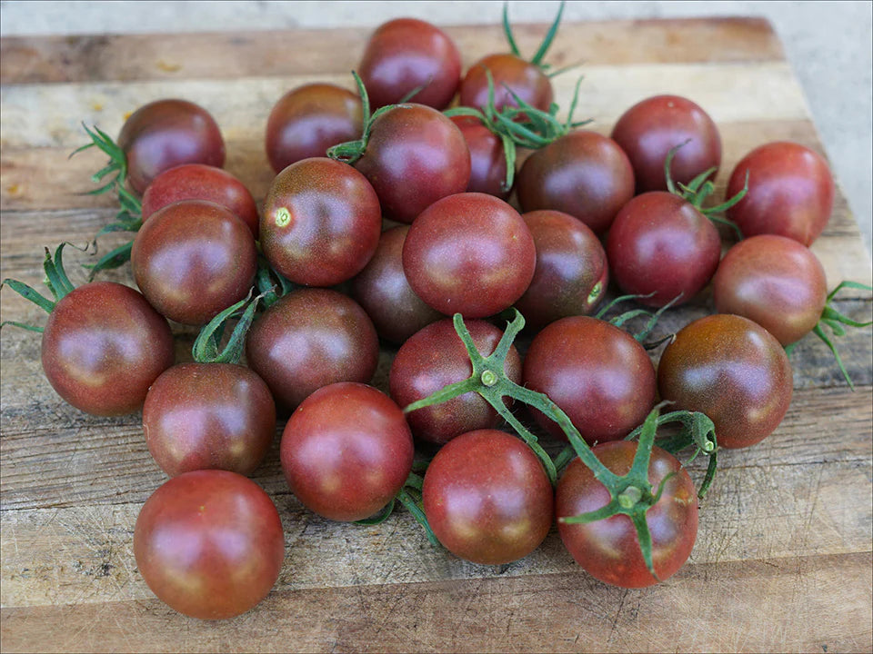 Black Cherry – Organic Tomato Seed