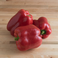 Yankee Bell – Organic Bell Pepper Seed