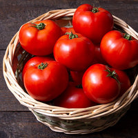 BHN 589 – Tomato Seed