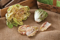 Bel Fiore – Radicchio Seed