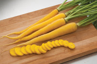 Yellowbunch – Carrot Seed