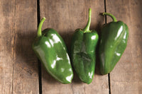 Bastan – Poblano Pepper Seed