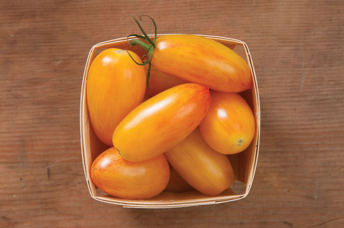 Blush – Organic Tomato Seed