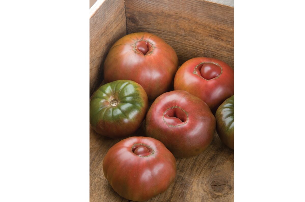 Black Krim – Organic Tomato Seed