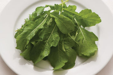 Arugula (Standard) – Vegetable Seed