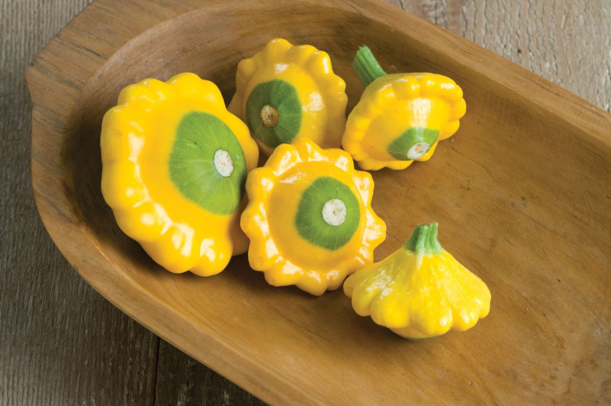 Y-Star – Organic Patty Pan Squash Seeds