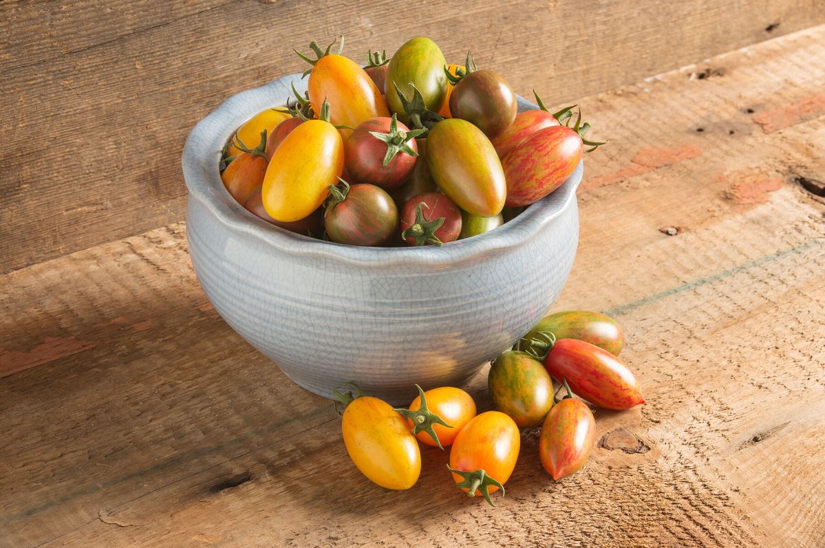 Artisan Tomato? Collection – Organic Seed