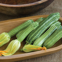 Zucchini- Costata Romanesco