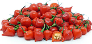 Biquinho Red – Piquillo Pepper Seed