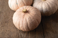 Winter Blush – Organic Kabocha Squash Seed